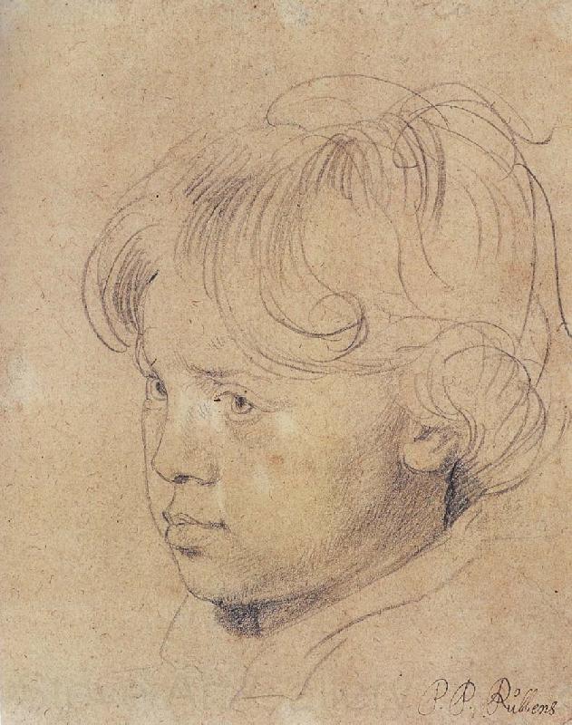 Peter Paul Rubens Portrait of Younger Rubens Spain oil painting art